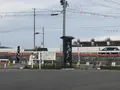 奇跡の一本松の写真_216600