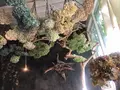 プルミエ・エタージュ （1er ETAGE） の写真_216686