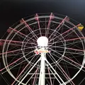 楽天Koboスタジアム宮城の写真_216835