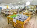 ふらっと美山の写真_217340