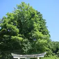 美山かやぶきの里の写真_217345