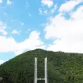 向山橋の写真_217558