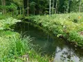 杉沢村の写真_218834