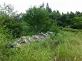 杉沢村の写真_218838