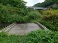 タヌキの湯の写真_218842