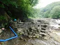 タヌキの湯の写真_218847