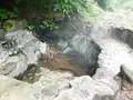 タヌキの湯の写真_218848