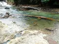 タヌキの湯の写真_218850