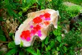 アイスクリンカフェ アークの写真_219043