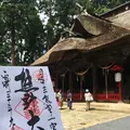 熊野大社の写真_219116