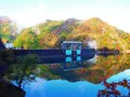 みどり湖の写真_219289