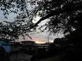 船越近隣公園の写真_219309