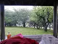 花岡公園の写真_219323