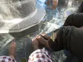 加賀　山中温泉　菊の湯の写真_219445