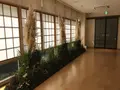 綱島源泉 湯けむりの庄の写真_219907