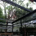 GARDEN HOUSE Kamakura（ガーデンハウス）の写真_220064