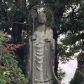 江西寺（だるま寺）の写真_220078