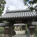 江西寺（だるま寺）の写真_220082