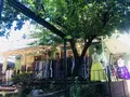 昭格洞の写真_220251