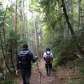 日光白根山山頂駅の写真_220326