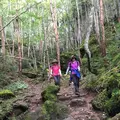 日光白根山山頂駅の写真_220327