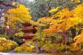 光前寺の写真_220384