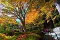 光前寺の写真_220402