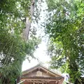 神魂神社の写真_220973