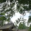 神魂神社の写真_220975