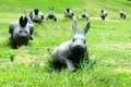 島根県立美術館の写真_221087