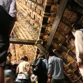 かやぶきの里北集落の写真_221109