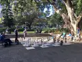 St Mary's Cathedral（セント・メアリー大聖堂）の写真_221172