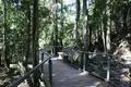 Scenic Worldの写真_221219