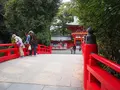 大宮公園の写真_221493