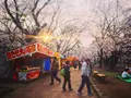 大宮公園の写真_221494