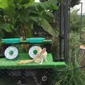 京都市動物園の写真_221534
