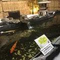 【閉館】東京タワー水族館の写真_221611