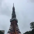 東京タワーの写真_221613
