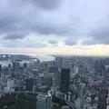 東京タワーの写真_221615