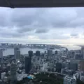 東京タワーの写真_221616