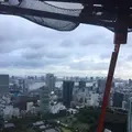 東京タワーの写真_221617