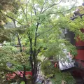 芝とうふ屋 うかいの写真_221620