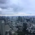 東京タワーの写真_221621