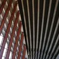 Sydney Opera House（シドニー・オペラハウス）の写真_221652