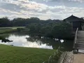 岡山後楽園の写真_221943