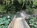 岡山後楽園の写真_221946