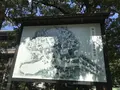 総持寺の写真_222095