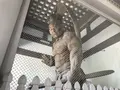 総持寺の写真_222098