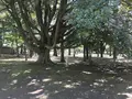 総持寺の写真_222122