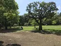 総持寺の写真_222124